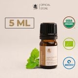  Tinh Dầu Hữu Cơ Hoắc Hương (Patchouli) - Tinh Dầu Bản Địa Indonesia 