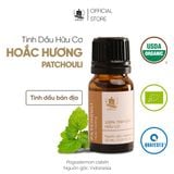  Tinh Dầu Hữu Cơ Hoắc Hương (Patchouli) - Tinh Dầu Bản Địa Indonesia 
