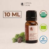  Tinh Dầu Hữu Cơ Tuyết Tùng (Cedarwood) - Tinh Dầu Bản Địa Moroco 