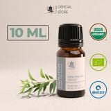  Tinh Dầu Hữu Cơ Khuynh Diệp Globulus (Eucalyptus Globulus) - Tinh Dầu Bản Địa Úc 