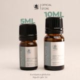  Tinh Dầu Hữu Cơ Khuynh Diệp Globulus (Eucalyptus Globulus) - Tinh Dầu Bản Địa Úc 