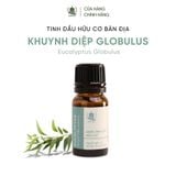  Tinh Dầu Hữu Cơ Khuynh Diệp Globulus (Eucalyptus Globulus) - Tinh Dầu Bản Địa Úc 