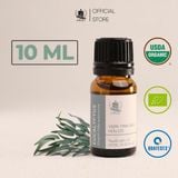  Tinh Dầu Hữu Cơ Khuynh Diệp Polybractea (Eucalyptus Polybractea) - Tinh Dầu Bản Địa Úc 