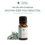  Tinh Dầu Hữu Cơ Khuynh Diệp Polybractea (Eucalyptus Polybractea) - Tinh Dầu Bản Địa Úc 