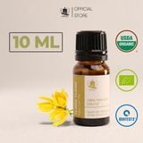  Tinh Dầu Hữu Cơ Ngọc Lan Tây (Ylang Ylang) - Tinh Dầu Bản Địa Madagascar 