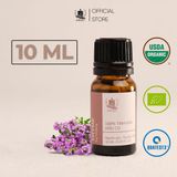  Tinh Dầu Hữu Cơ Xạ Hương (Thyme) - Tinh Dầu Bản Địa Tây Ban Nha 