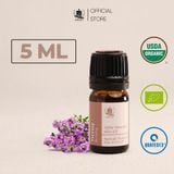  Tinh Dầu Hữu Cơ Xạ Hương (Thyme) - Tinh Dầu Bản Địa Tây Ban Nha 