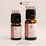  Tinh Dầu Hữu Cơ Xạ Hương (Thyme) - Tinh Dầu Bản Địa Tây Ban Nha 