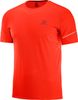 Áo thể thao AGILE SS TEE M - LC1051500 - LC1165800 - L40209900 - L39261000