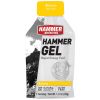 Gel uống bổ sung Năng Lượng , Dinh Dưỡng , Tiện Lợi , Lành Mạnh , Phù Hợp Người Tập Thể Thao - Hammer Nutrition Hammer Gel