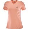 Áo thun thể thao NỮ Salomon XA TEE W - LC1027500 - LC1027900 - LC1285200 - LC1285300 - LC1285400 - LC1285500