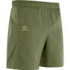 Quần thể thao NAM SALOMON AGILE 2IN1 SHORT - L40118200 LC1048700 LC1376700 L40118100