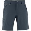 Quần thể thao dã ngoại leo núi Salomon WAYFARER SHORT M - L39318100 L36339200 LC1057600
