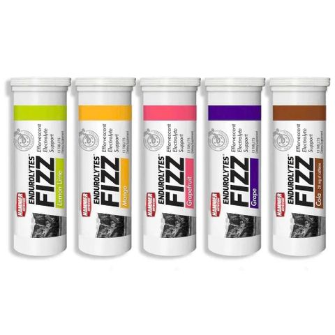 Viên Sủi Điện Giải Hammer Nutrition Endurolytes Fizz