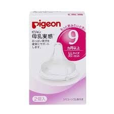 Núm Ti Pigeon 9T, Nhật