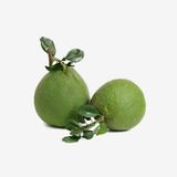  Bưởi da xanh hữu cơ (Organic Grape Furit) 