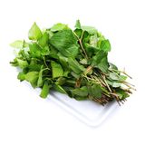  Rau Diếp Cá Vietgap Hugo Farm (100G) 