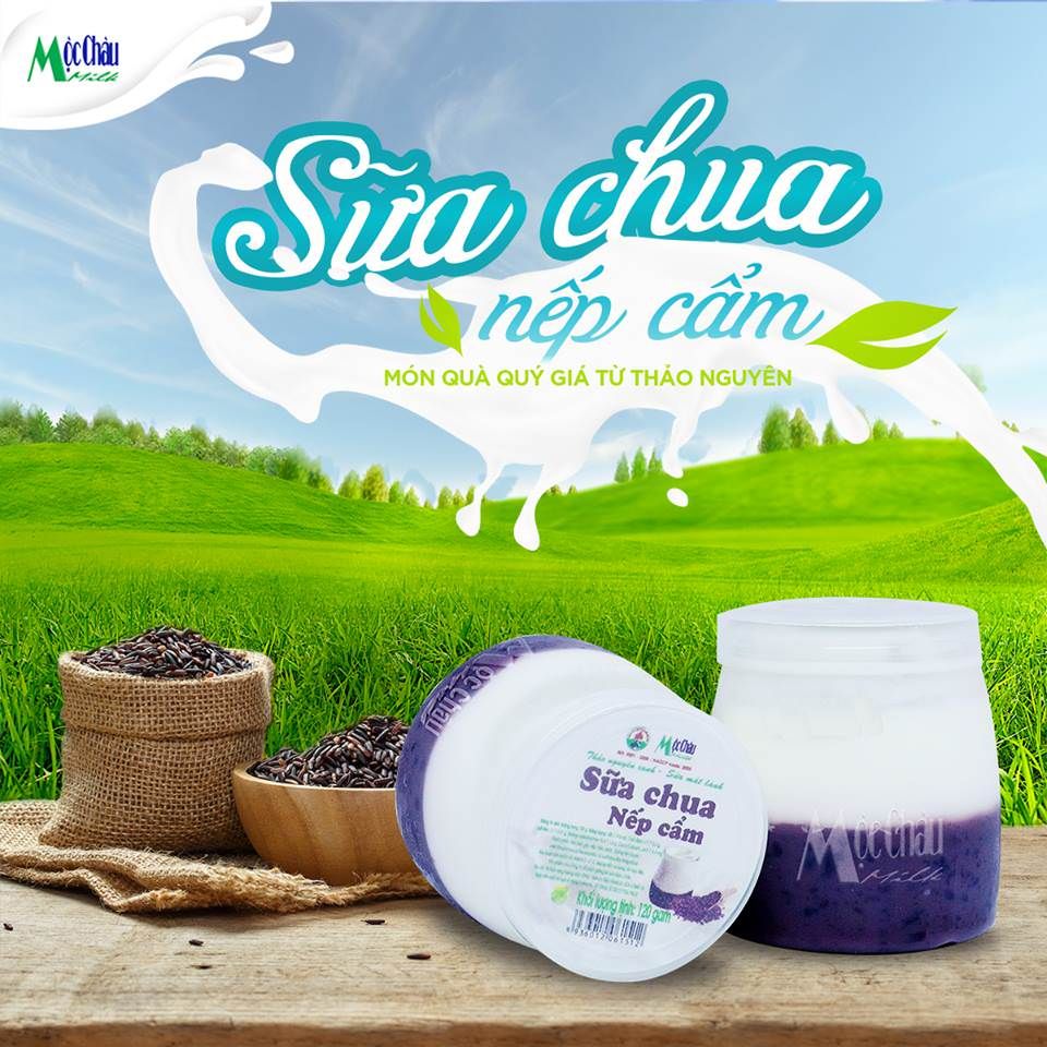  SỮA CHUA NẾP CẨM MỘC CHÂU 160G 12 CỐC 