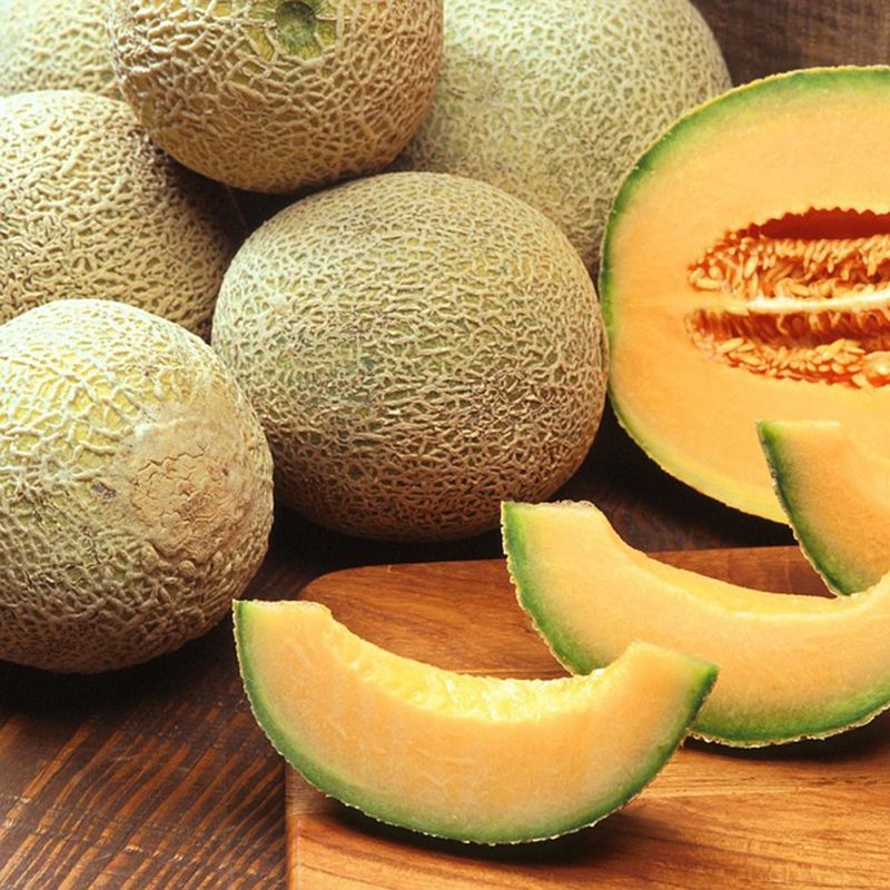Hạt giống dưa lưới vàng F1