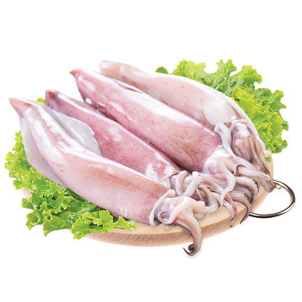  Mực Ống (Làm Chả Mực) - 1KG 