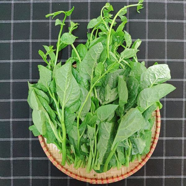  Rau Mồng Tơi Vietgap Hugo Farm (300G) 