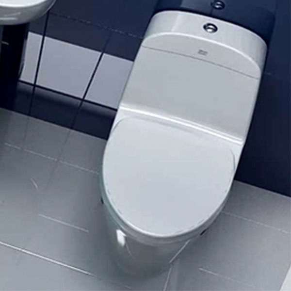 Active-One-Piece-Toilet-image1.jpg