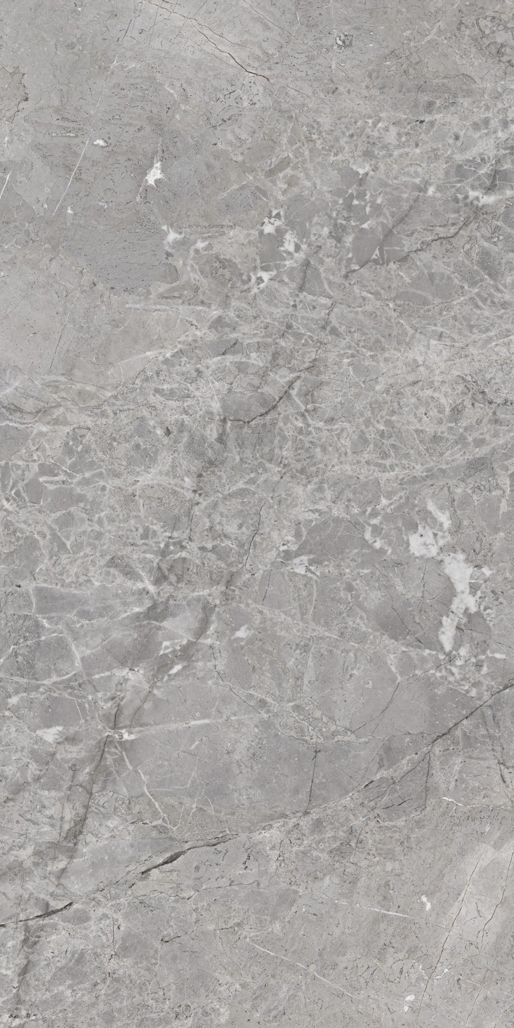 MA241209007