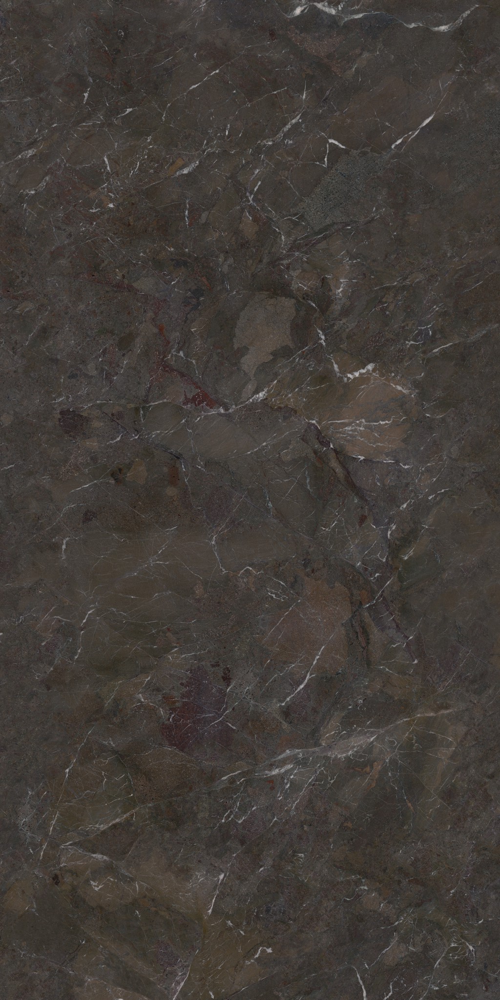 MA241209008