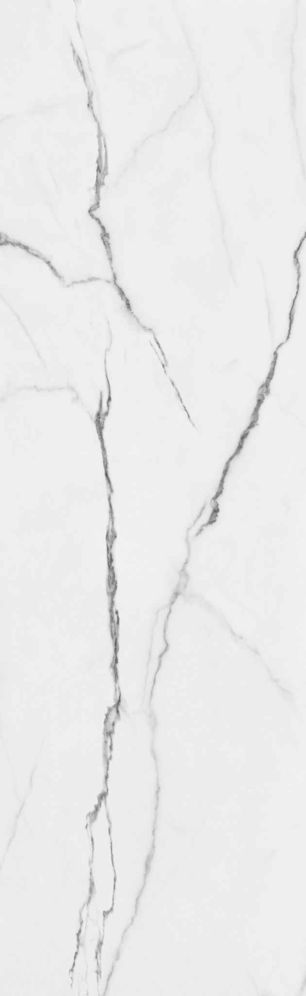 MA268009028