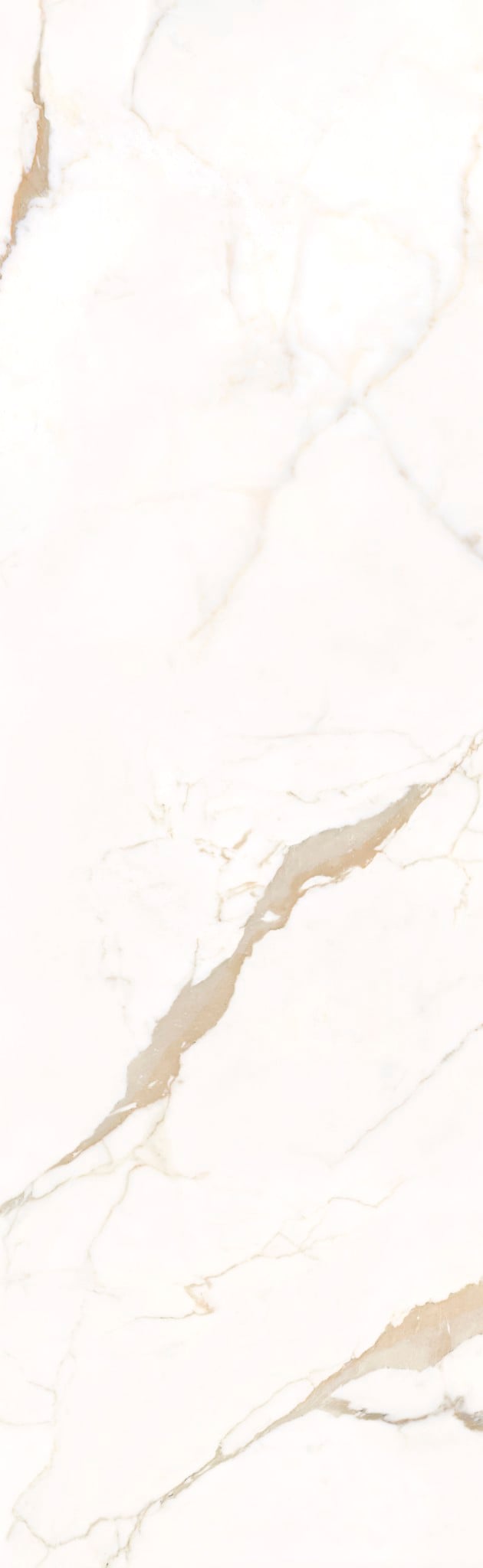 MA268009029