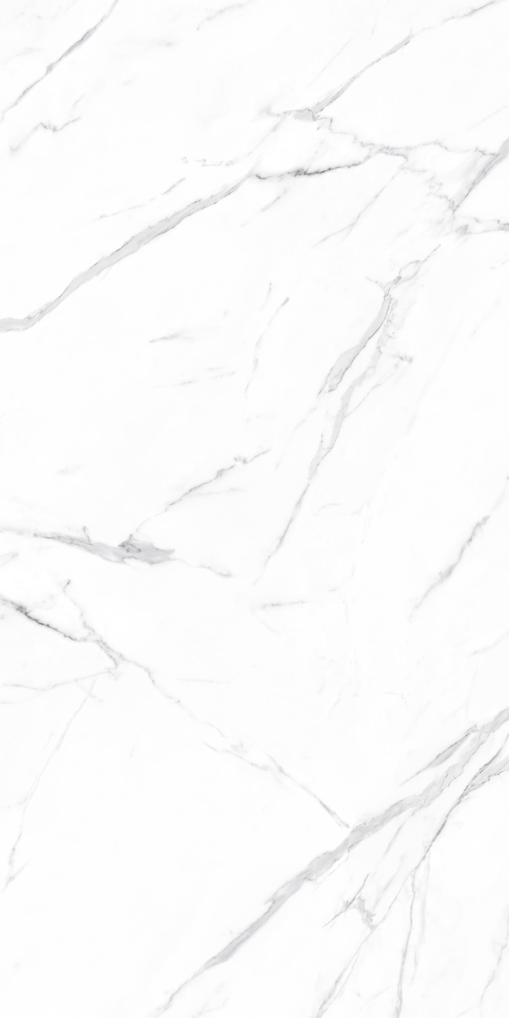 MF241209001-F3