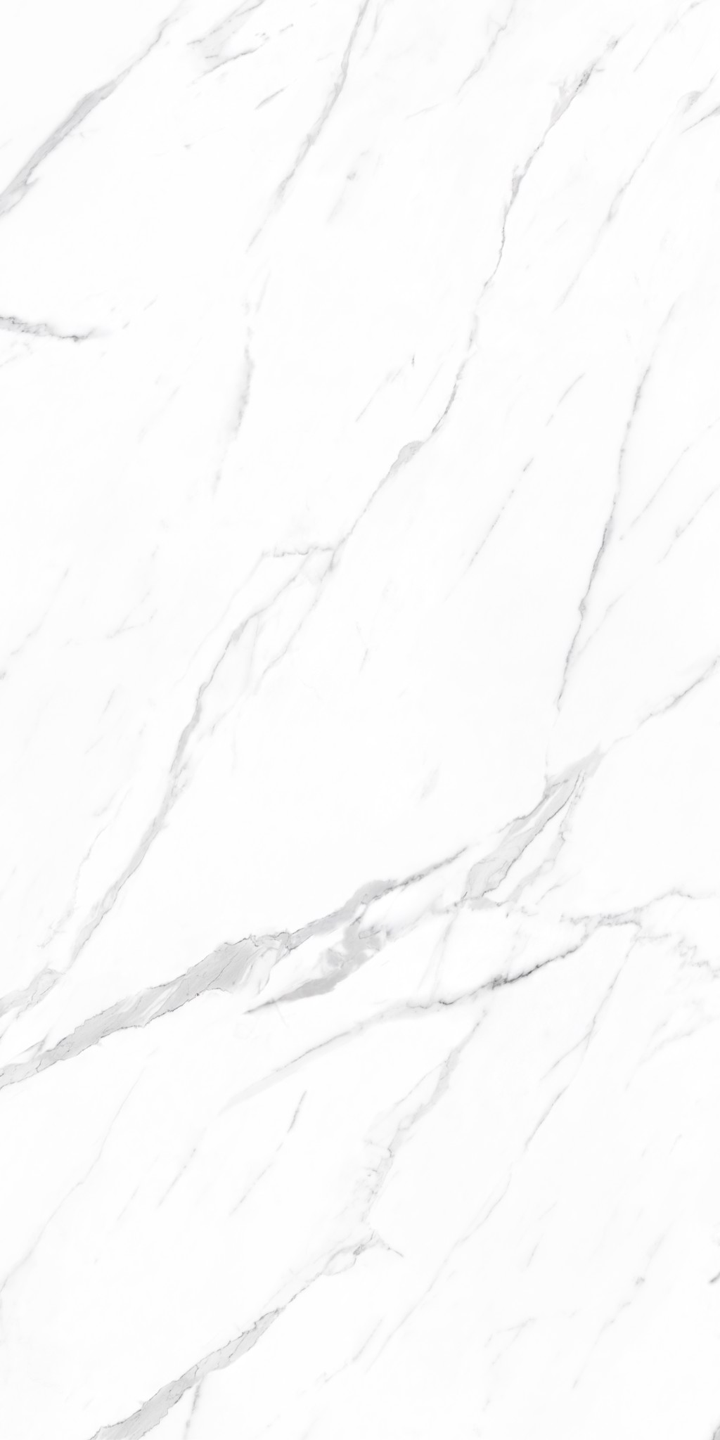 MF241209001-F4