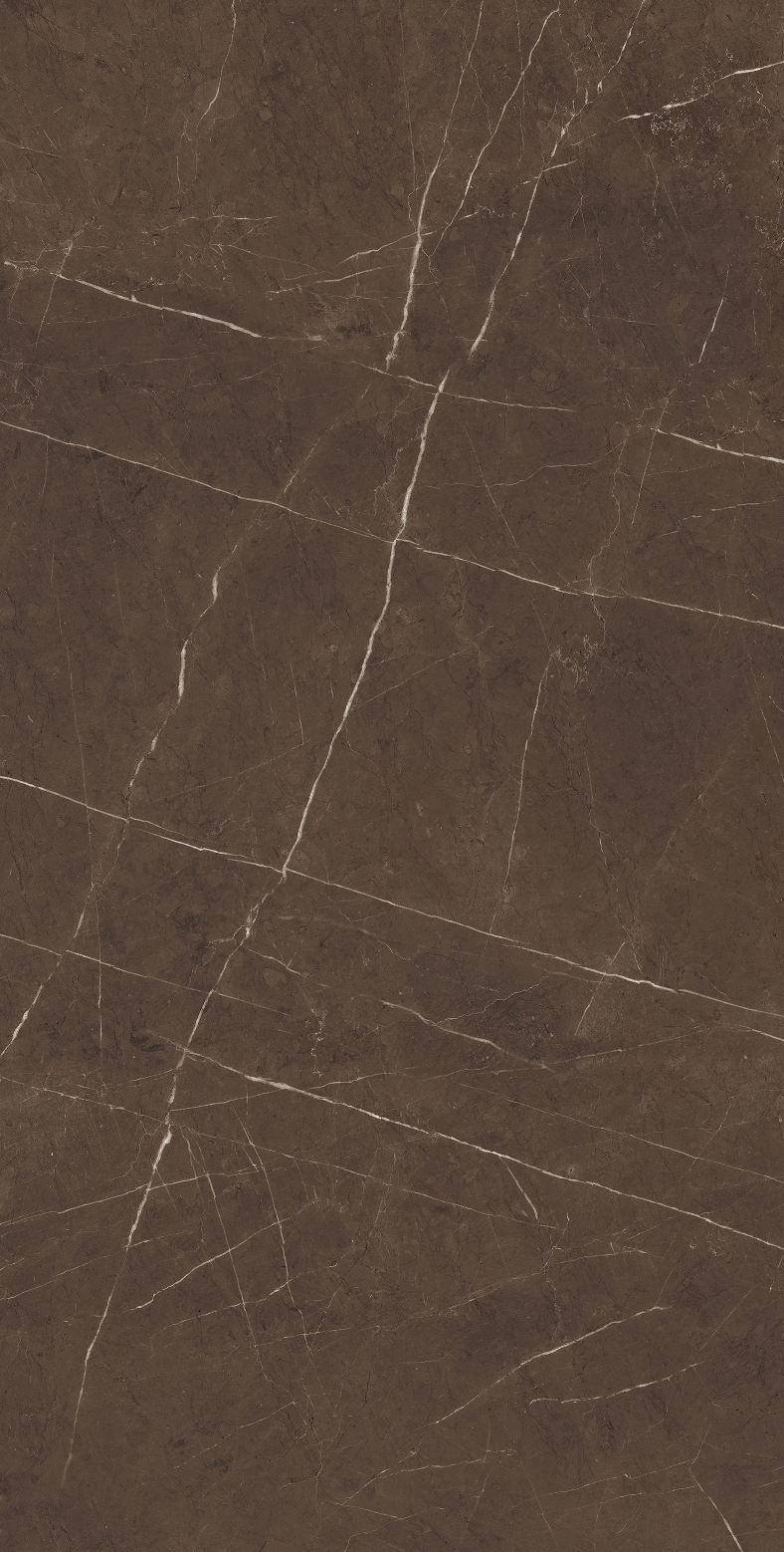 PIETRA BROWN 80x160