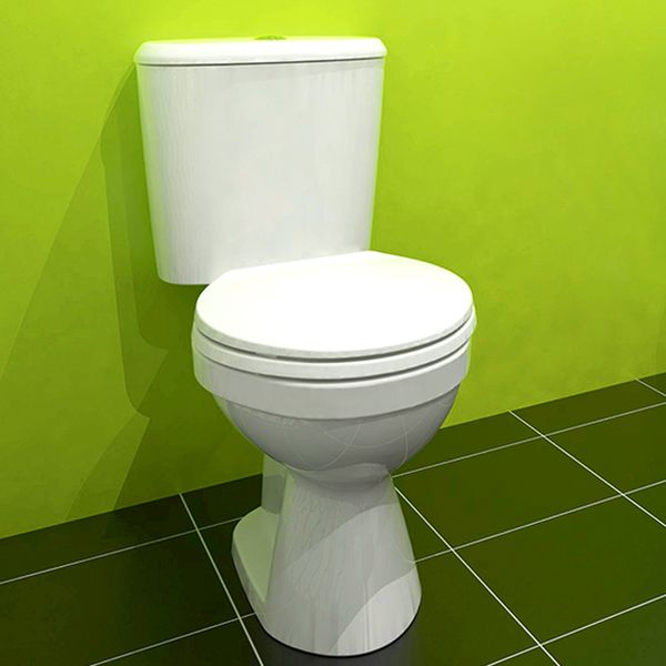 Winston-Plus-Close-Coupled-Toilet-image1.jpg