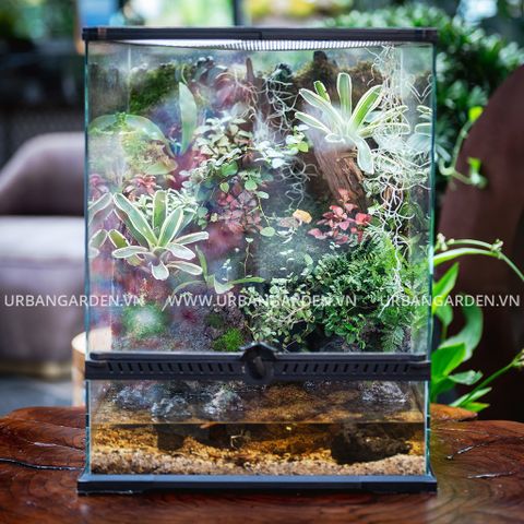 Hệ sinh thái thu nhỏ Paludarium