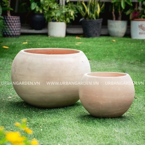 Chậu Cây Gốm Cotta