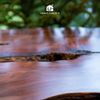  Bàn Bar Gỗ Lũa Reborn Wood Maxine Slab 03AX3 D2.5M 
