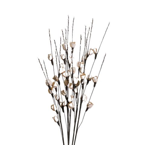 Hoa Khô DokJok Branch