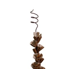  Hoa Khô Brown Giant Gypso 