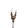  Hoa Khô Brown Giant Gypso 