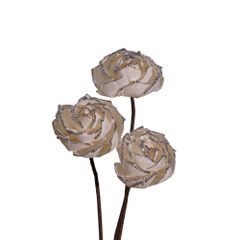  Hoa Khô Queen'S Rose - Sliver (9 cm) 