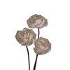  Hoa Khô Queen'S Rose - Sliver (9 cm) 
