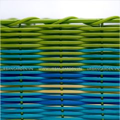  Hộp Nhựa Tropical 