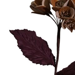  Hoa Khô Compound Marky With Leaves (L) 