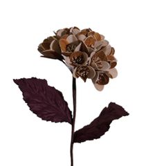  Hoa Khô Compound Marky With Leaves (L) 