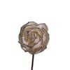  Hoa Khô Queen'S Rose - Sliver (9 cm) 