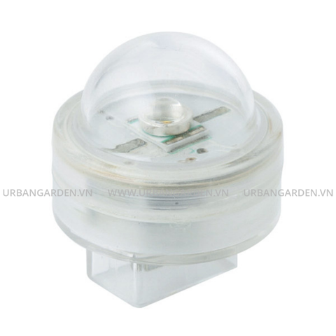 Đèn Bóng Bling HHA-D04T