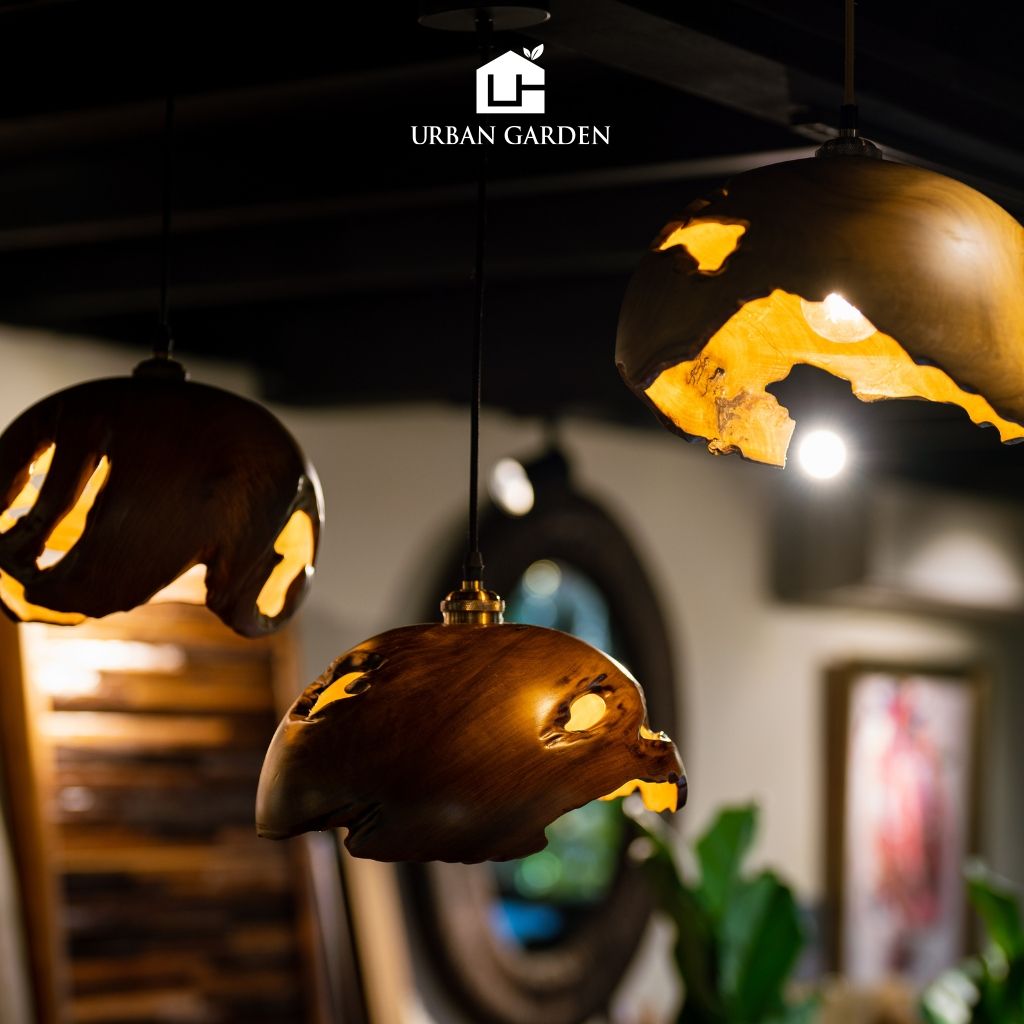  Chụp đèn Gỗ Lũa Reborn Wood Driftwood Chamcha 03AX3 ĐK35cm 