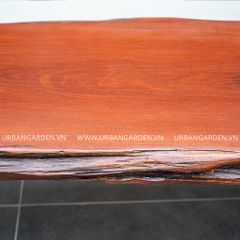  Băng Ghế Gỗ Lũa Reborn Wood Slab Oxford 12AX3 D200 