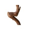  Cây lũa decor Reborn Wood Driftwood 12EX3 C3M65 LUA03 